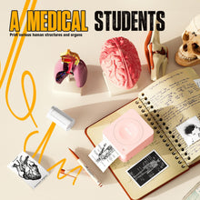 Load image into Gallery viewer, Nelko PM230 Bluetooth Sticker Printer – Portable Mini Sticker Maker with 3 Rolls Paper, Compatible with Phone & Tablet, Multiple Templates, Pink