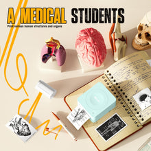 Load image into Gallery viewer, Nelko PM230 Bluetooth Sticker Printer – Portable Mini Sticker Maker with 3 Rolls Paper, Compatible with Phone & Tablet, Multiple Templates, Green