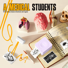 Load image into Gallery viewer, Nelko PM230 Bluetooth Sticker Printer – Portable Mini Sticker Maker with 3 Rolls Paper, Compatible with Phone & Tablet, Multiple Templates, Purple