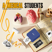 Load image into Gallery viewer, Nelko PM230 Bluetooth Sticker Printer – Portable Mini Sticker Maker with 3 Rolls Paper, Compatible with Phone & Tablet, Multiple Templates, Blue