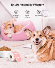 Lade das Bild in den Galerie-Viewer, NELKO 2 Zoll rosa Kreis-Thermoaufkleber-Etiketten 750 Etiketten/Rolle 