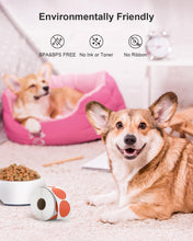 Load image into Gallery viewer, Nelko 2 Inch Orange Circle Thermal Stickers Labels 750 Labels/Roll