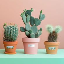 Load image into Gallery viewer, Nelko Genuine P21 Plant 2.0 Label Maker Tape, Adapted Label Print Paper, 14x40mm (0.55"x1.57"),Multipurpose of P21 Label Maker, 180 Tapes/Roll, 1 Roll