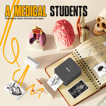 Load image into Gallery viewer, Nelko PM230 Bluetooth Sticker Printer – Portable Mini Sticker Maker with 3 Rolls Paper, Compatible with Phone &amp; Tablet, Multiple Templates, Black